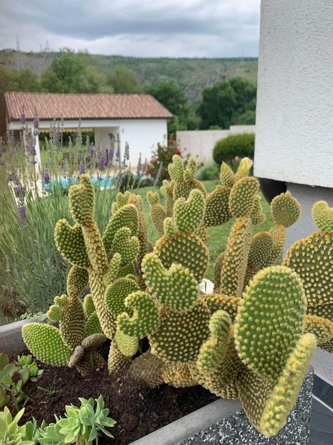 Villa Buna Eksteriør bilde